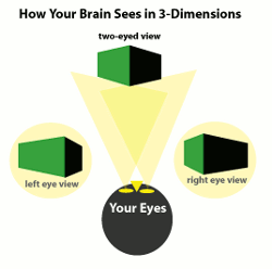 3d diagram