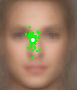 places first looked at within face