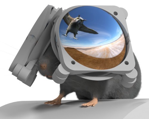 Immersive VR Goggles for Mice Unlock New Potential