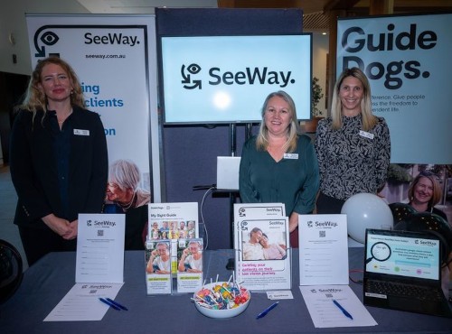 seeway launch