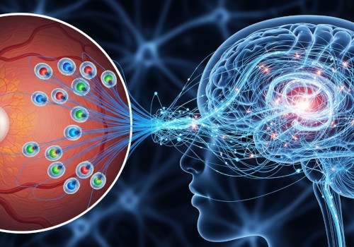 Brain Vision Interpretation