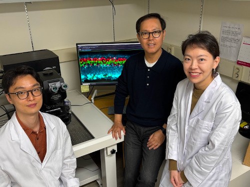 KAIST researchers