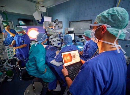 Retinal Implant Chip