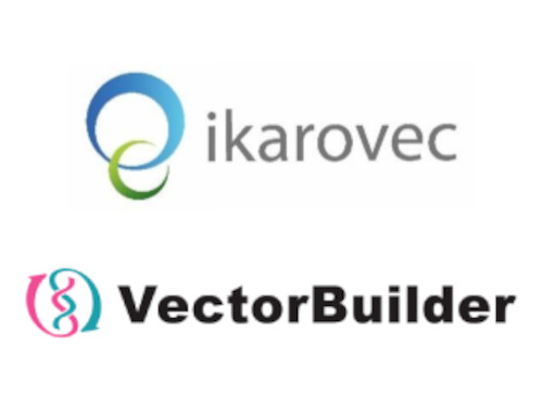 ikarovec Ltd - VectorBuilder