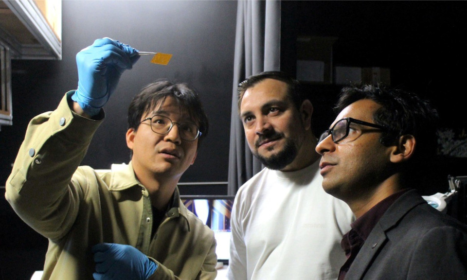 neuromorphic lead researchers