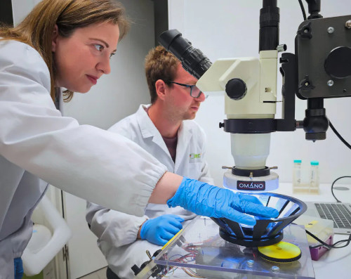 researchers r sortino and j martinez