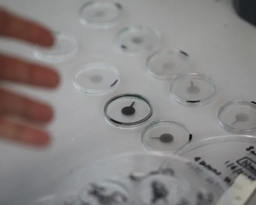 tunable lens